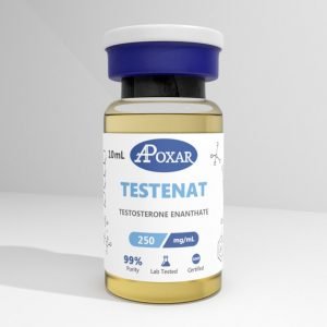 testosterone enanthate cycle